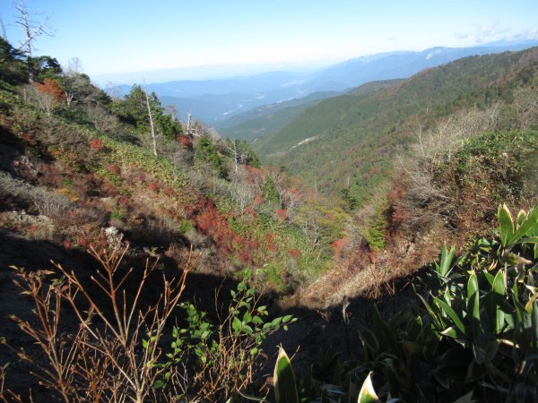 登山道